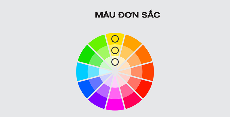 mau-don-sac-1